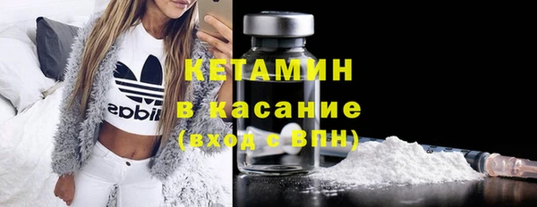 прущие грибы Вяземский