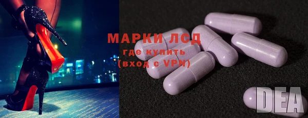 прущие грибы Вяземский