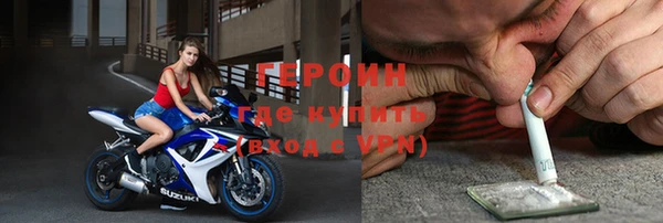 прущие грибы Вяземский