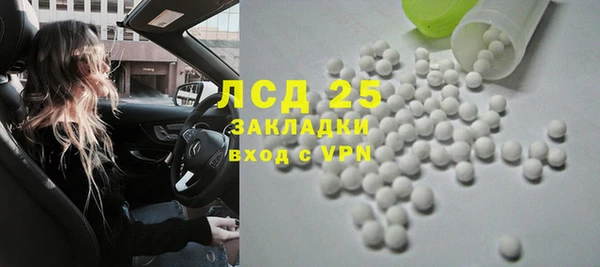 прущие грибы Вяземский