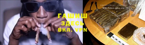 прущие грибы Вяземский
