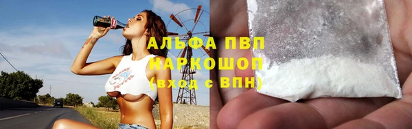 прущие грибы Вяземский