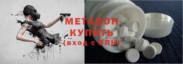 прущие грибы Вяземский