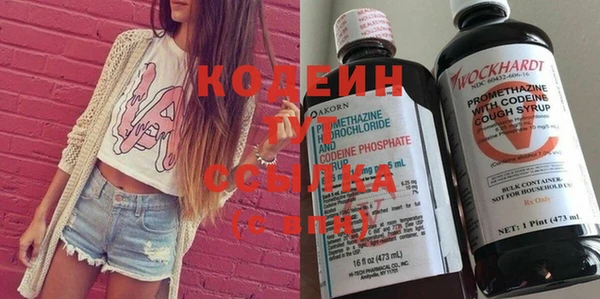 прущие грибы Вяземский