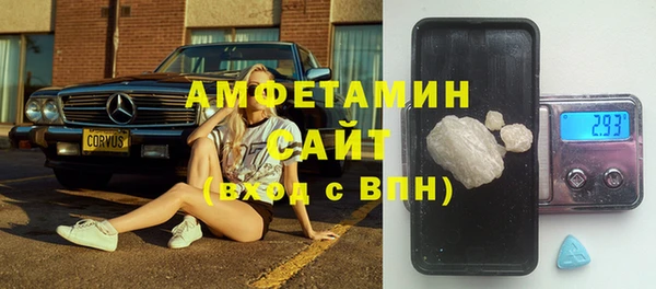 прущие грибы Вяземский