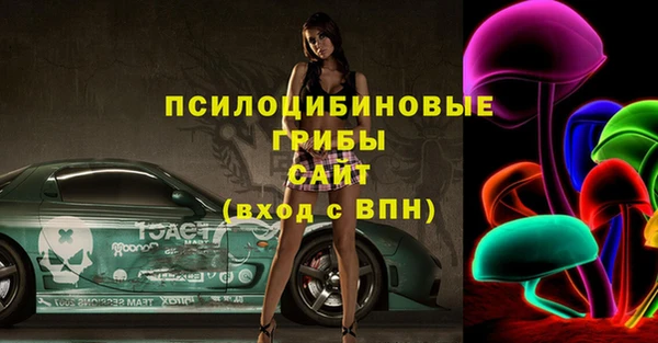 мяу мяу мука Вязьма