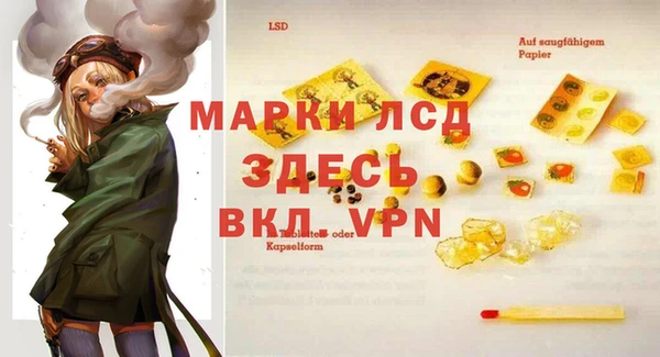 прущие грибы Вяземский