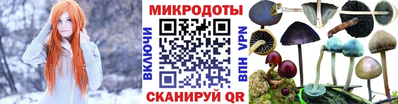 Галлюциногенные грибы MAGIC MUSHROOMS  Купить где  Славгород 