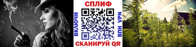 Шишки марихуана сатива  Купить где  Славгород 